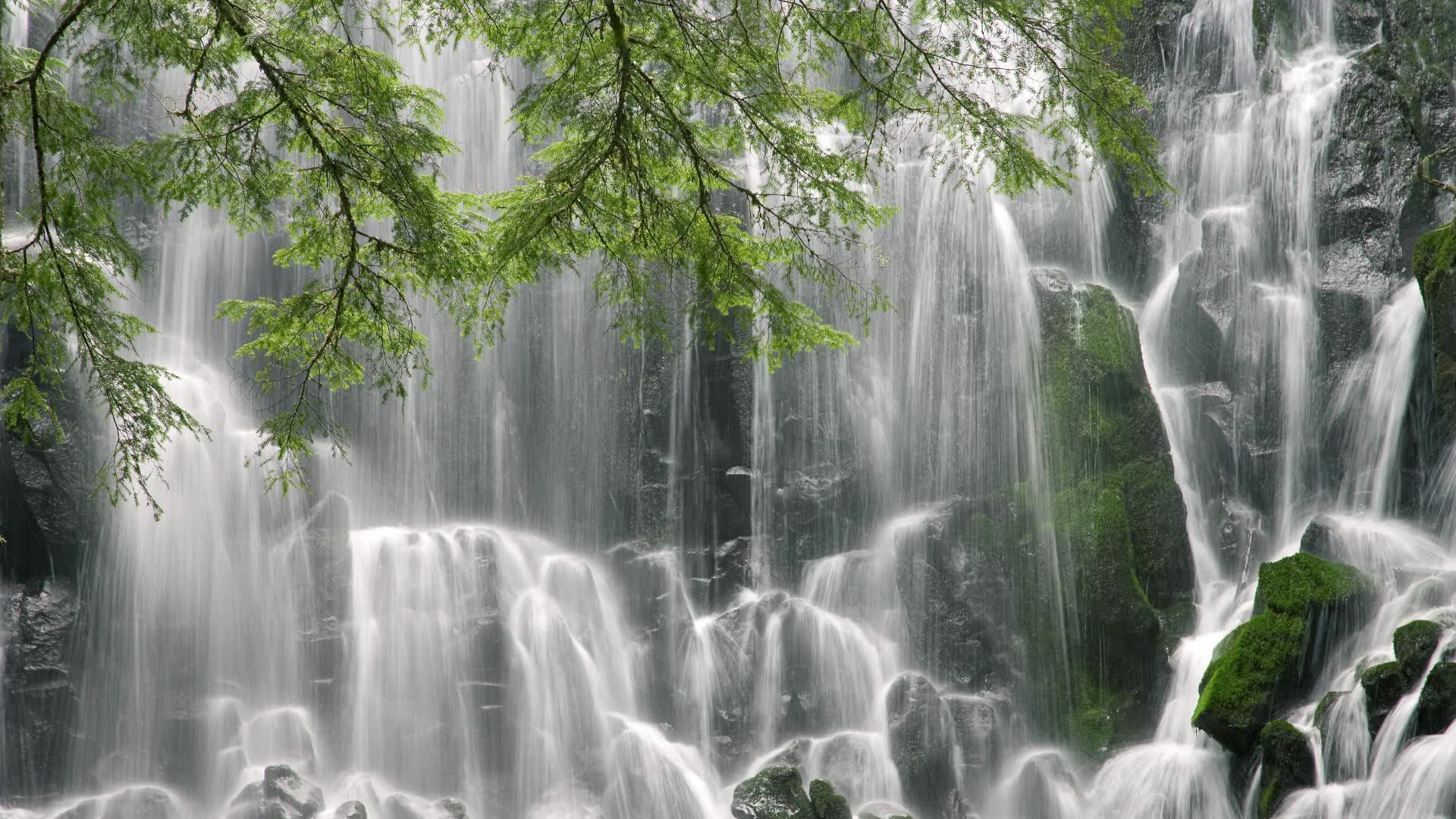 世界篮球青训课程模块更新与教学目标调整，世界篮球青年锦标赛